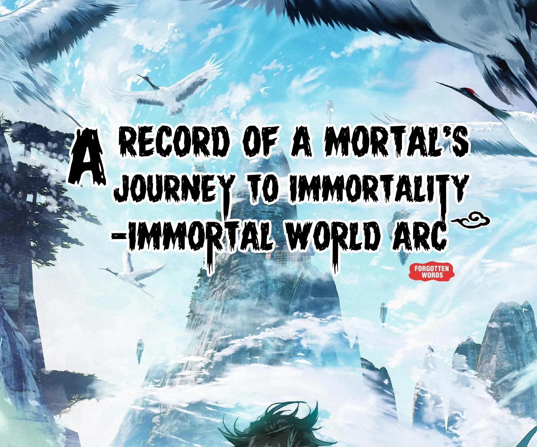 A Record Of A Mortal