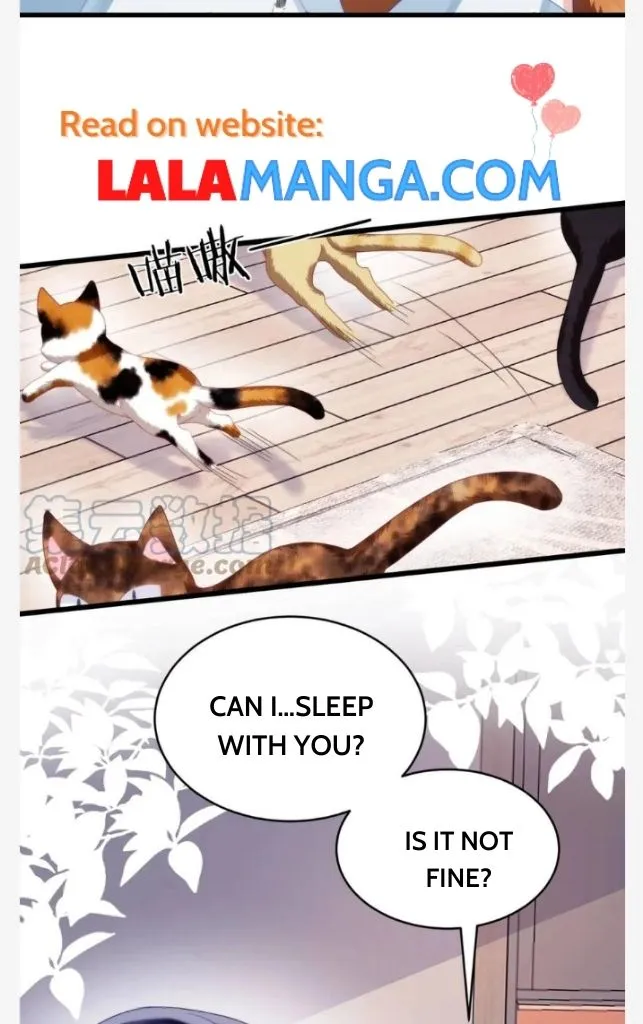 A Wild Cat Likes To Sleep With Me - Page 38