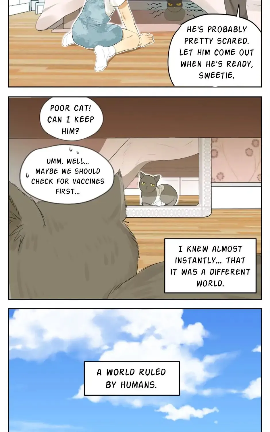 A World Ruled By Cats Chapter 24 page 12 - MangaKakalot