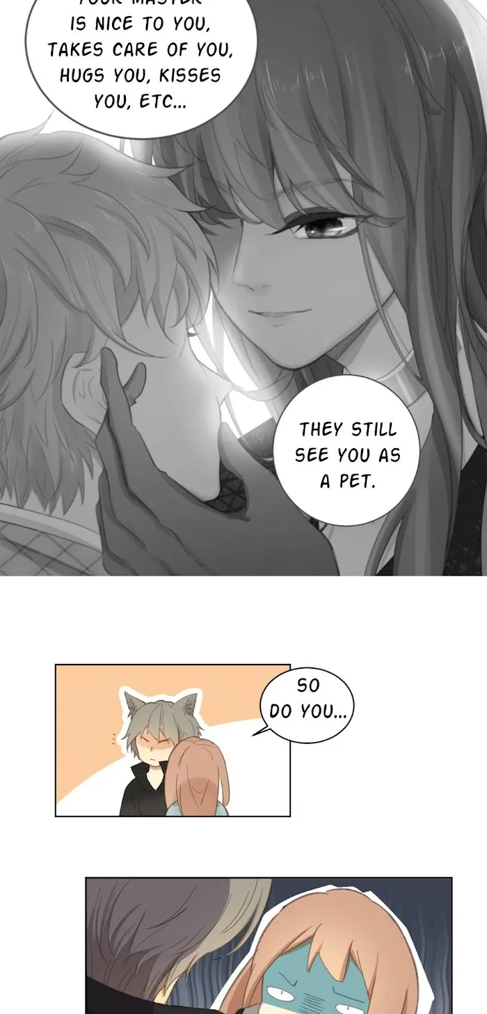 A World Ruled By Cats Chapter 53 page 5 - MangaKakalot