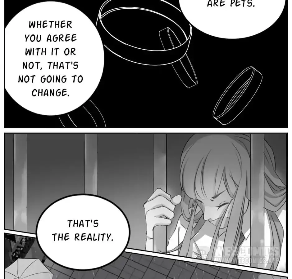 A World Ruled By Cats Chapter 6 page 19 - MangaKakalot