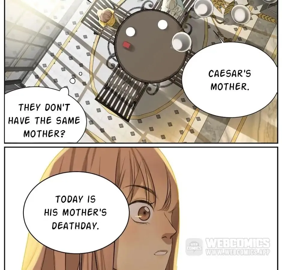 A World Ruled By Cats Chapter 8 page 31 - MangaKakalot