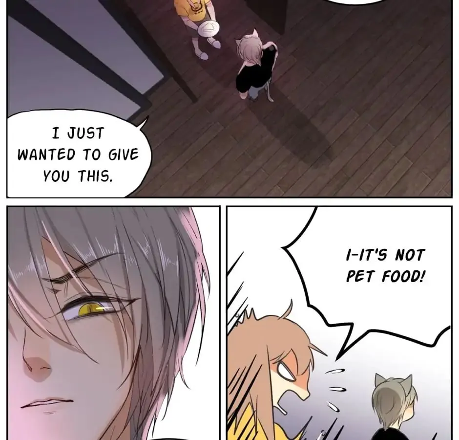 A World Ruled By Cats Chapter 9 page 4 - MangaKakalot