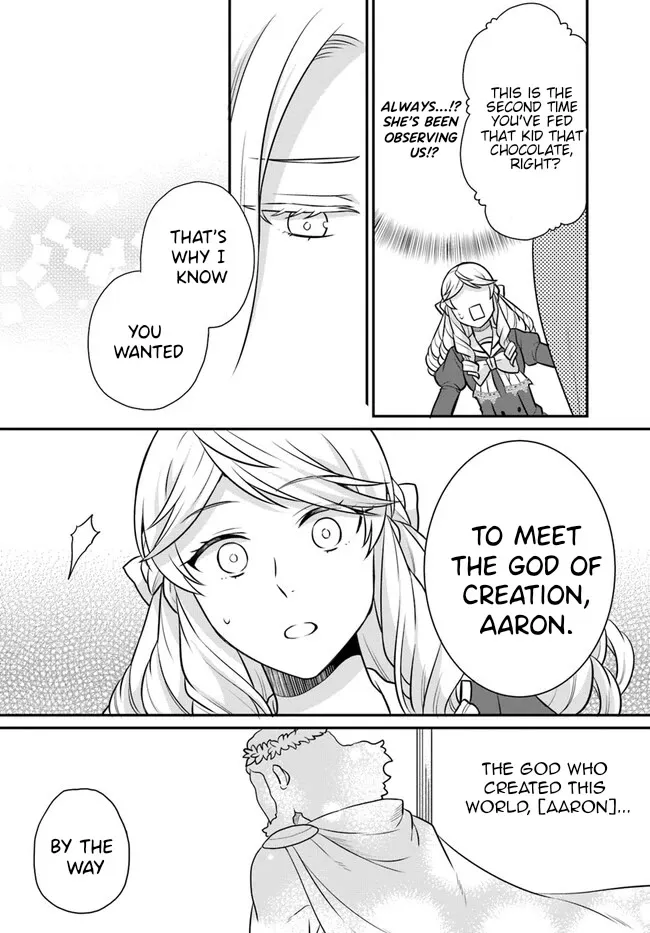 As A Result Of Breaking An Otome Game, The Villainess Young Lady Becomes A Cheat! - Page 27