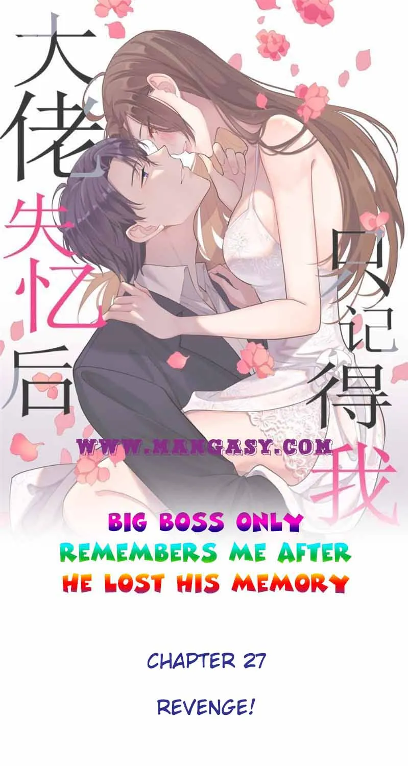 Big Boss Only Remembers Me After He Lost His Memory Chapter 27 page 1 - MangaKakalot