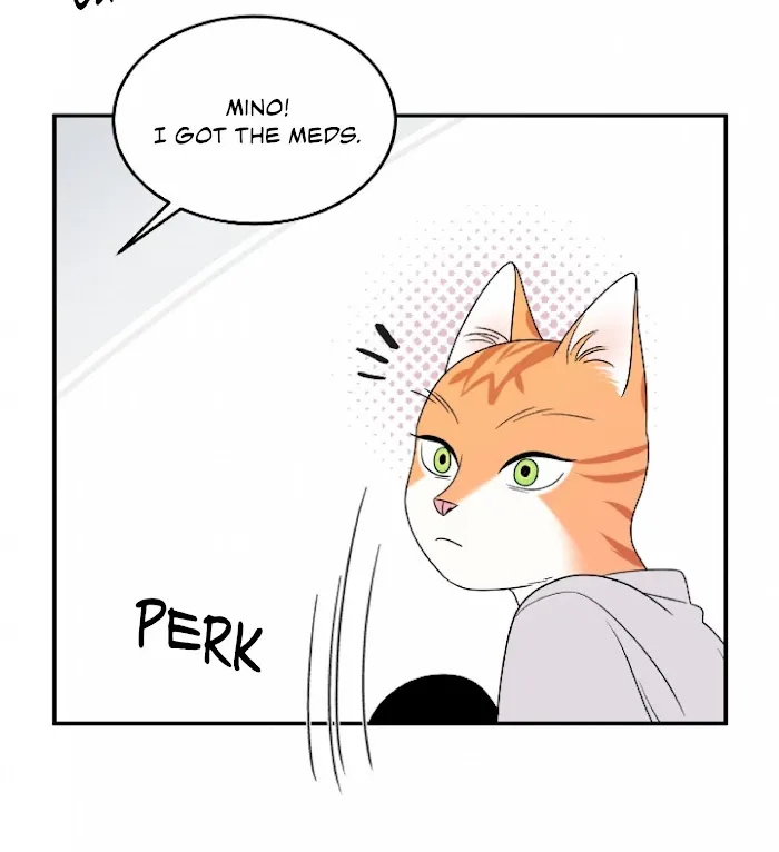 Blue Project Chapter 2 page 79 - MangaKakalot