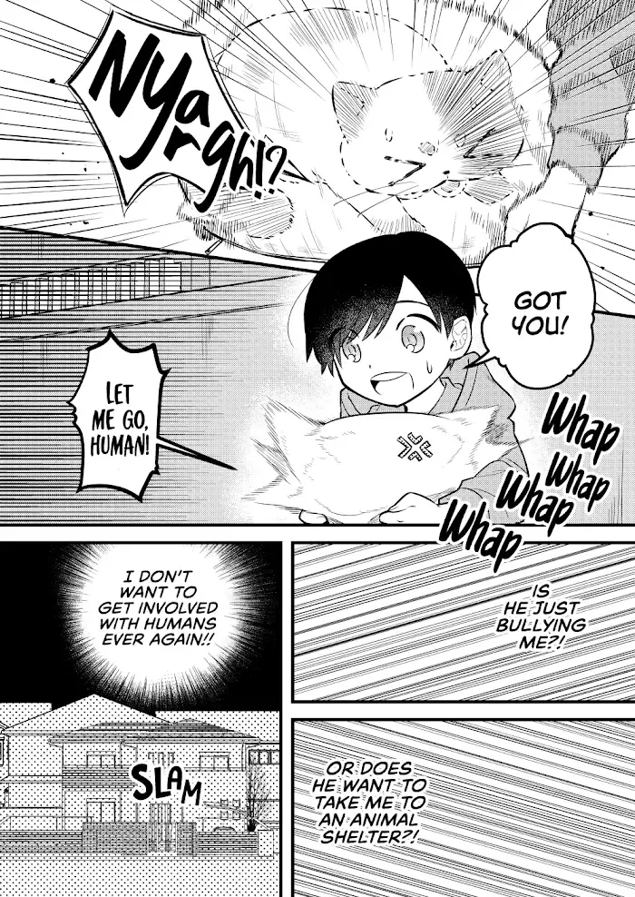 Box! Kira Ito Tanpenshuu Chapter 11 page 7 - MangaKakalot