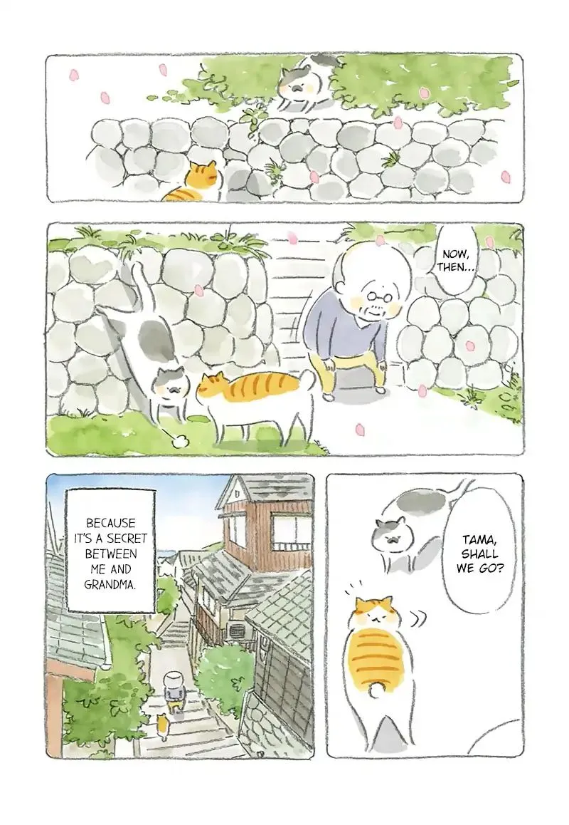 Cat and Grandpa Chapter 2 page 9 - MangaKakalot