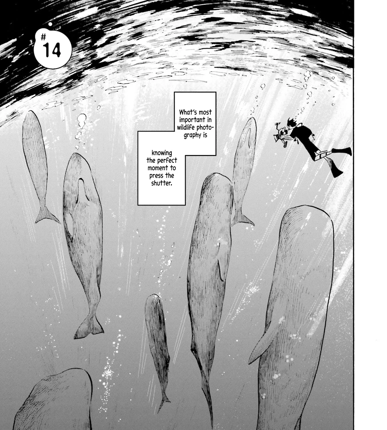 Deep Sea Aquarium Magmell Chapter 14 page 1 - MangaKakalot