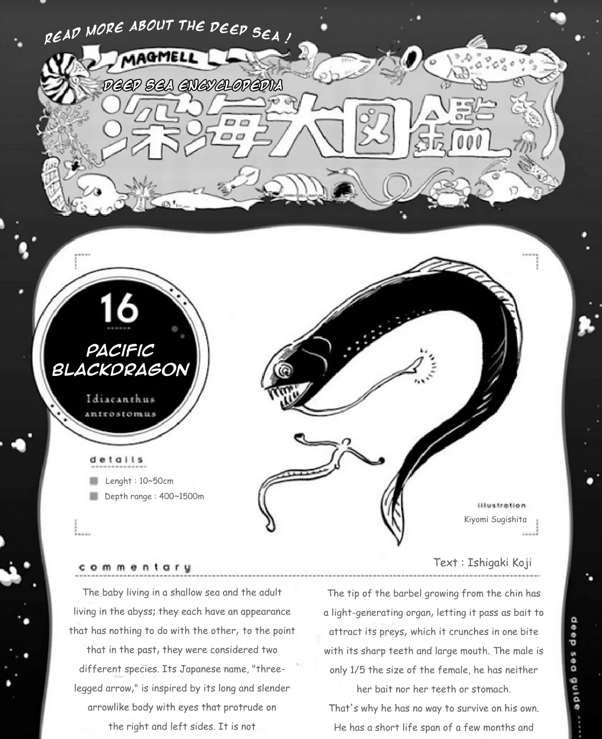 Deep Sea Aquarium Magmell Chapter 18 page 27 - MangaKakalot