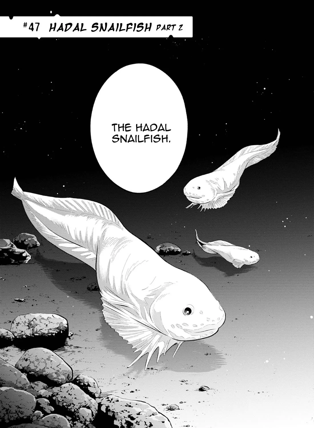 Deep Sea Aquarium Magmell Chapter 47 page 5 - MangaKakalot