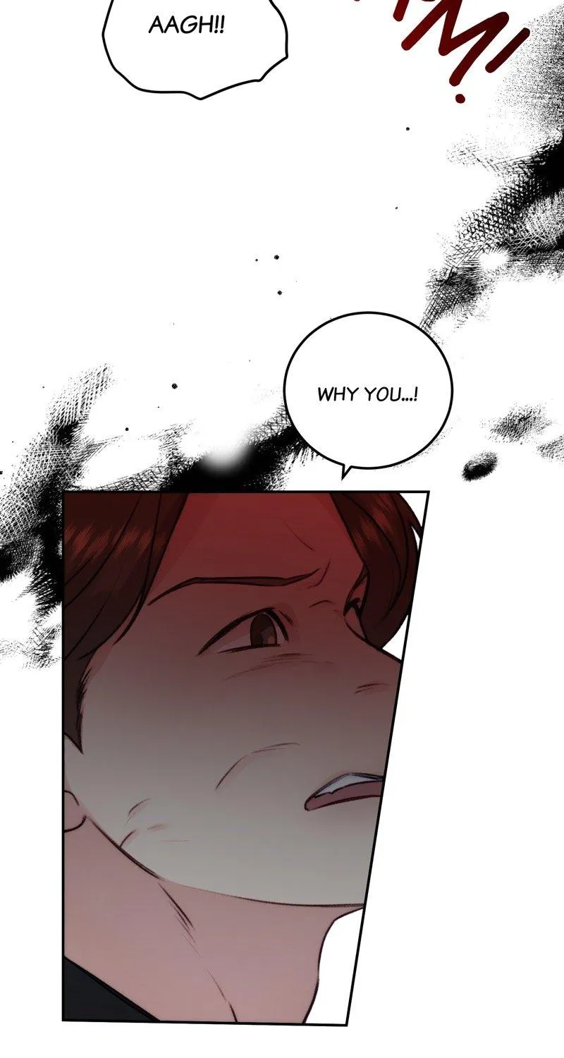 He’S Not Just A Pretty Face Chapter 69 page 14 - MangaKakalot