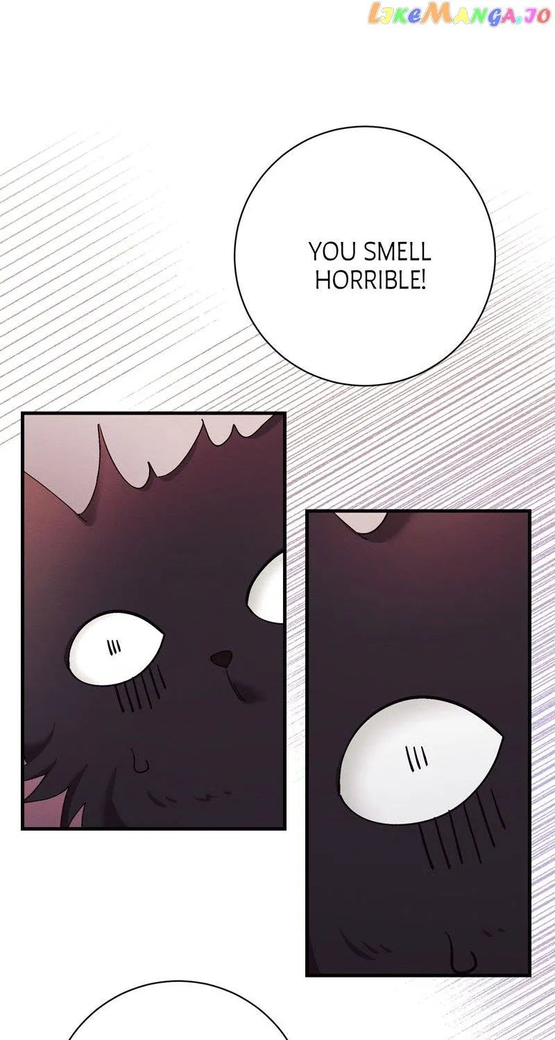 He’S Now Healthy-Perhaps Too Much Chapter 21 page 100 - MangaKakalot