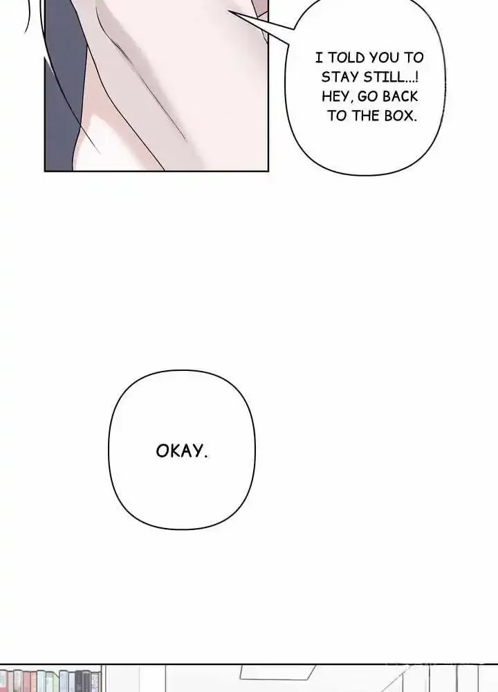 Imprinted (Bohyeol) Chapter 1 page 19 - MangaKakalot