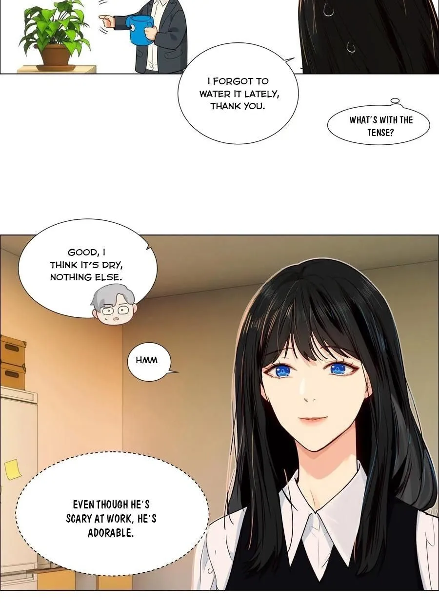 It’s Not That I Want to Wear Women’s Clothing Chapter 38 page 19 - MangaKakalot