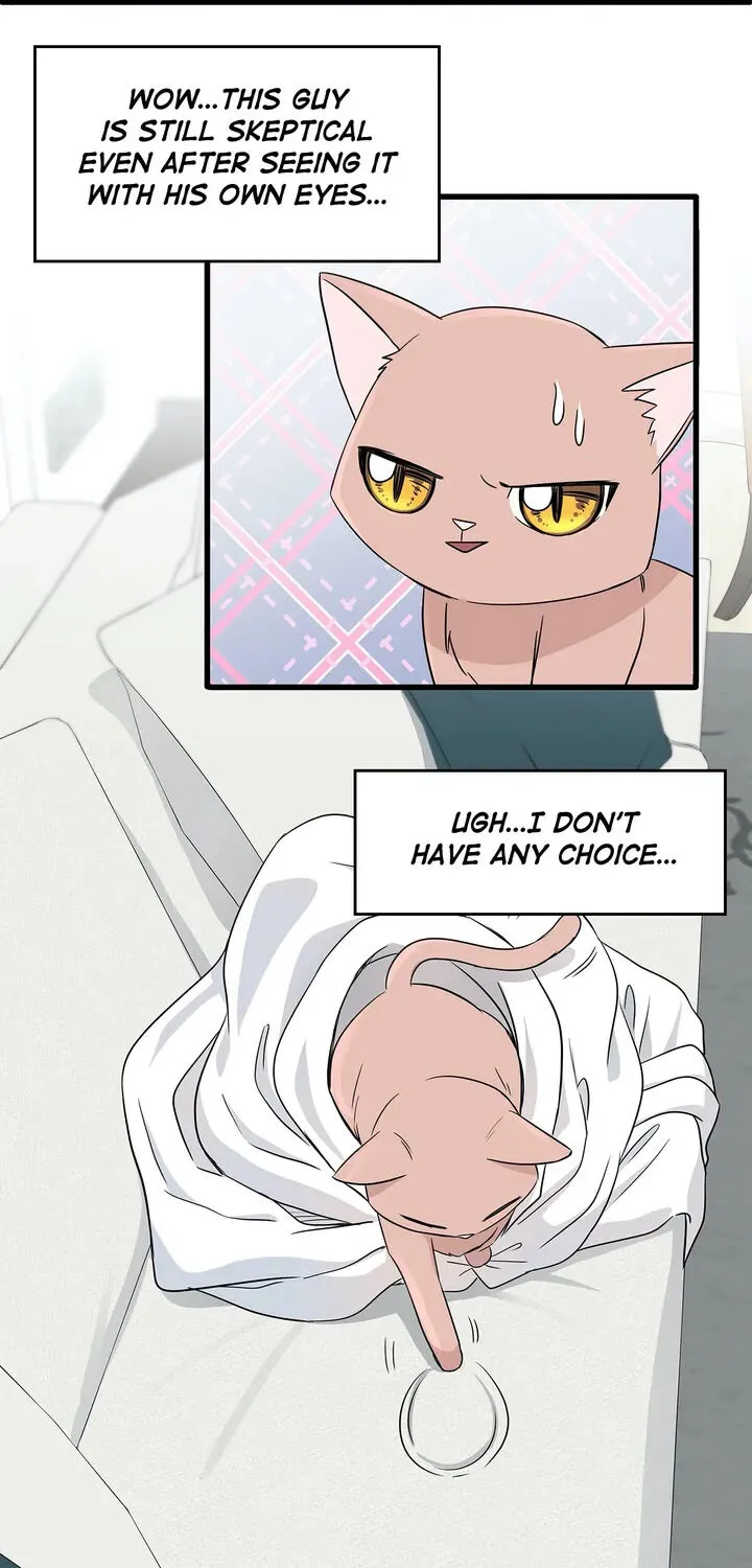 Just For A Meowment Chapter 2 page 35 - MangaKakalot