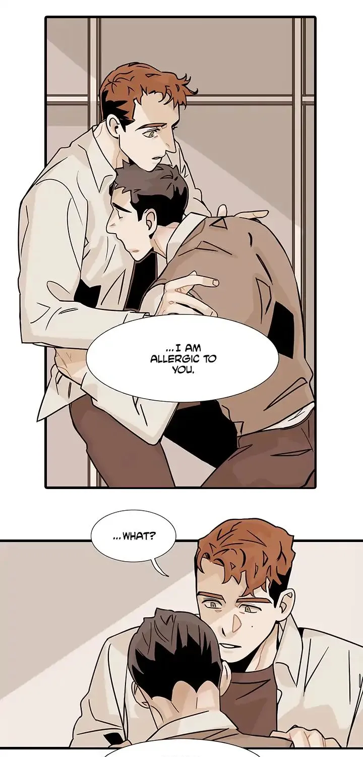 Love Allergy (Sebaek) Chapter 2 page 21 - MangaKakalot