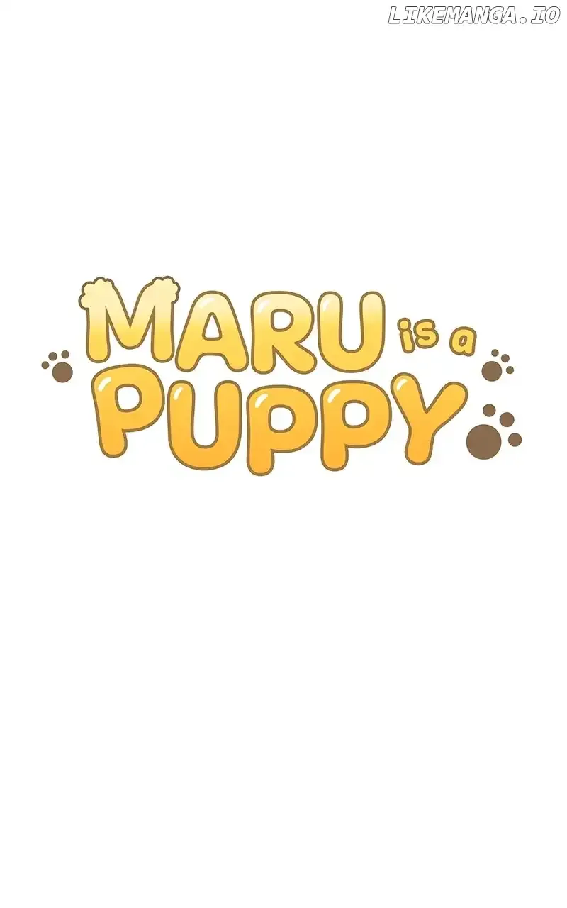 Maru Is A Puppy Chapter 47 page 12 - MangaKakalot