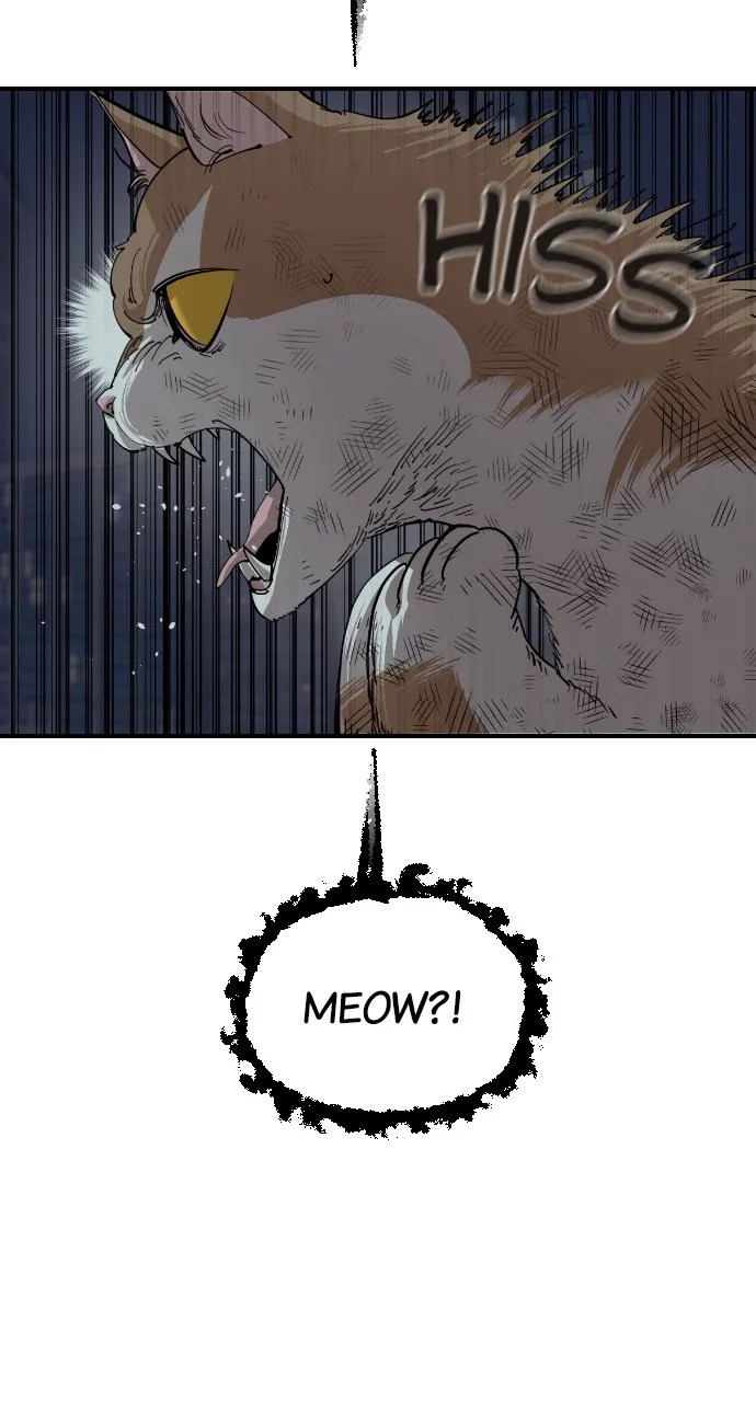 Meow Rangers Chapter 53 page 13 - MangaKakalot