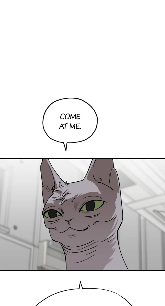 Meow Rangers Chapter 62 page 68 - MangaKakalot