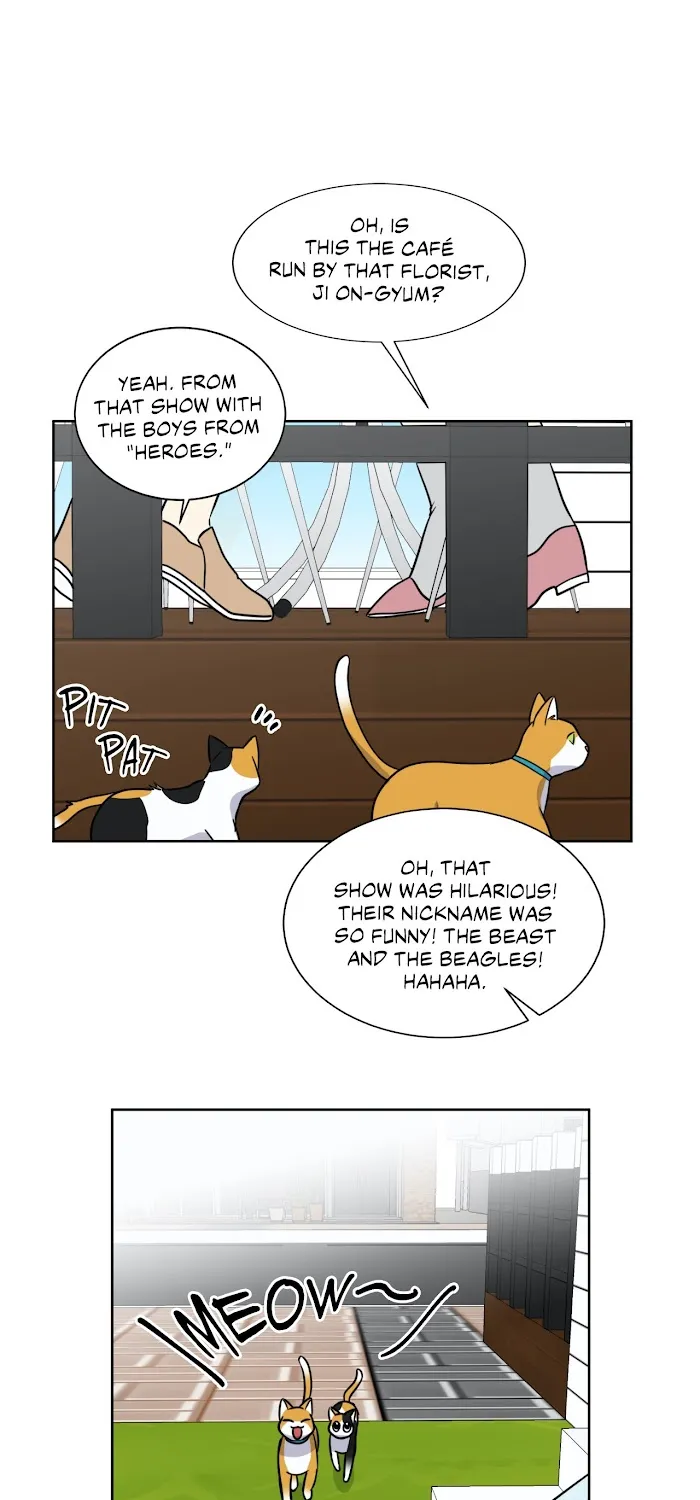 My Cute Beast ! Chapter 99 page 46 - MangaKakalot