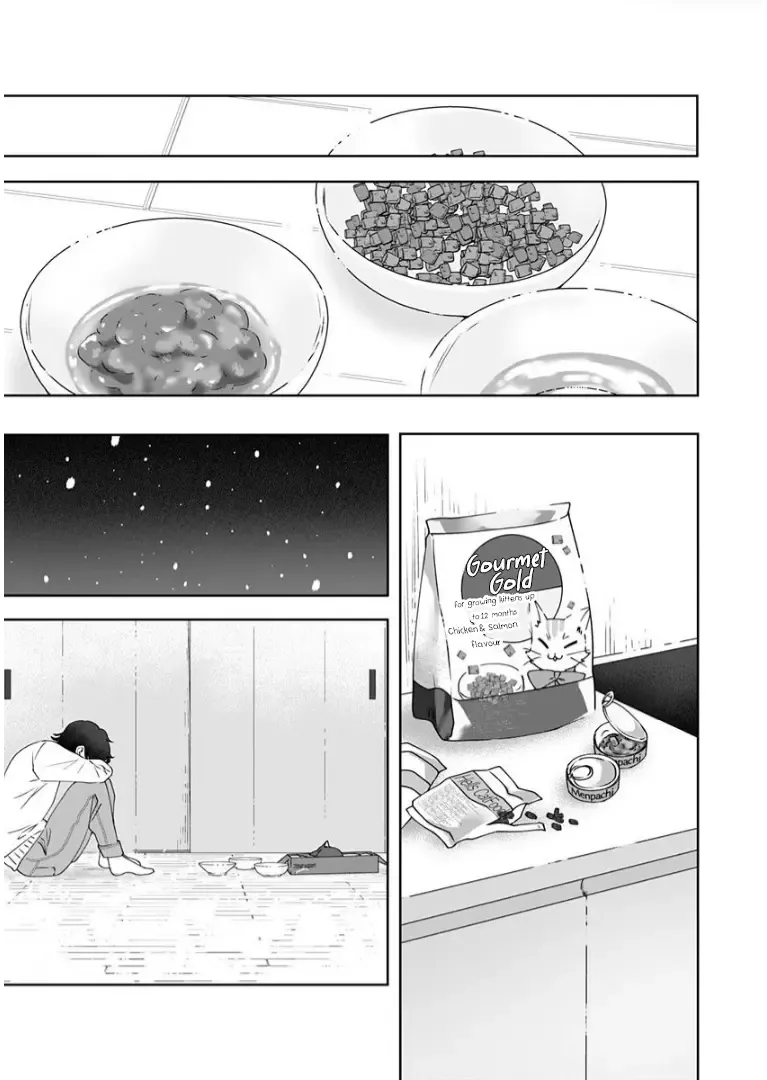 My Kitten Is a Picky Eater. Chapter 1 page 16 - MangaKakalot