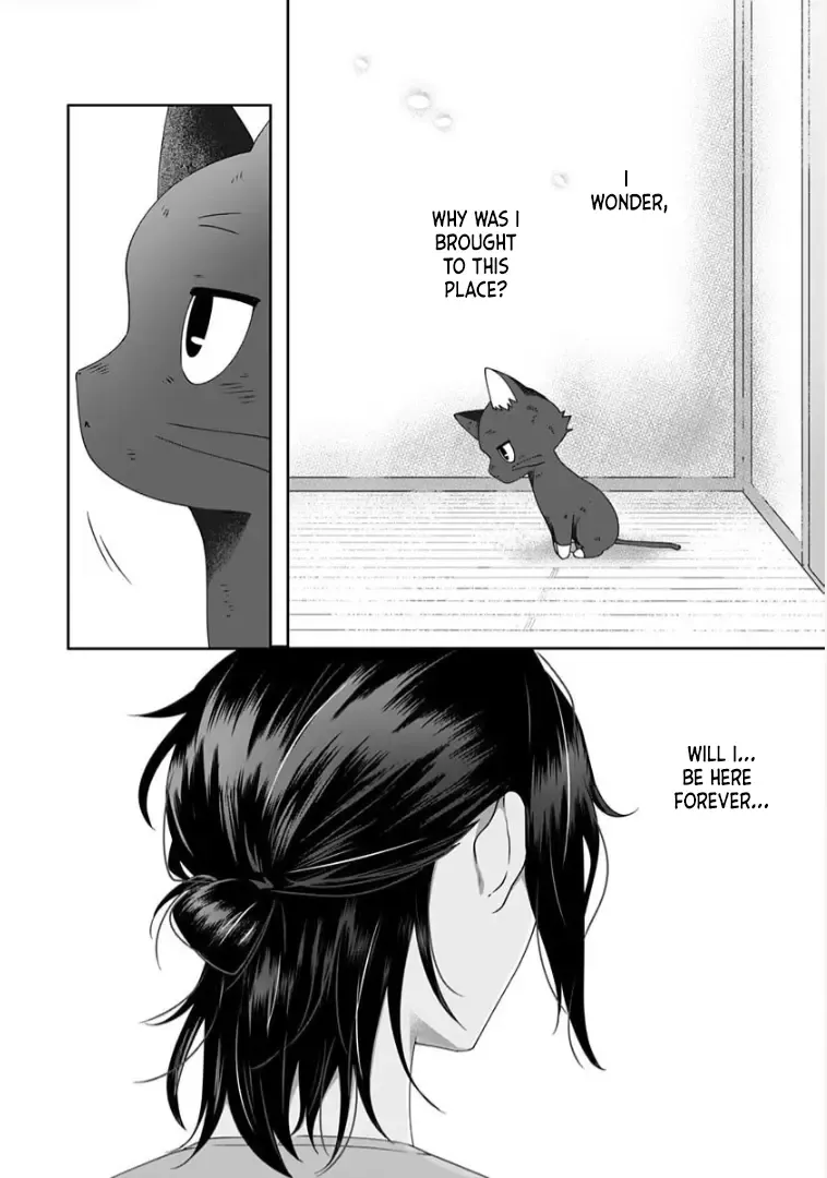 My Kitten Is a Picky Eater. Chapter 4 page 4 - MangaKakalot