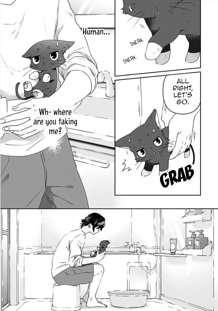 My Kitten Is a Picky Eater. Chapter 7 page 5 - MangaKakalot