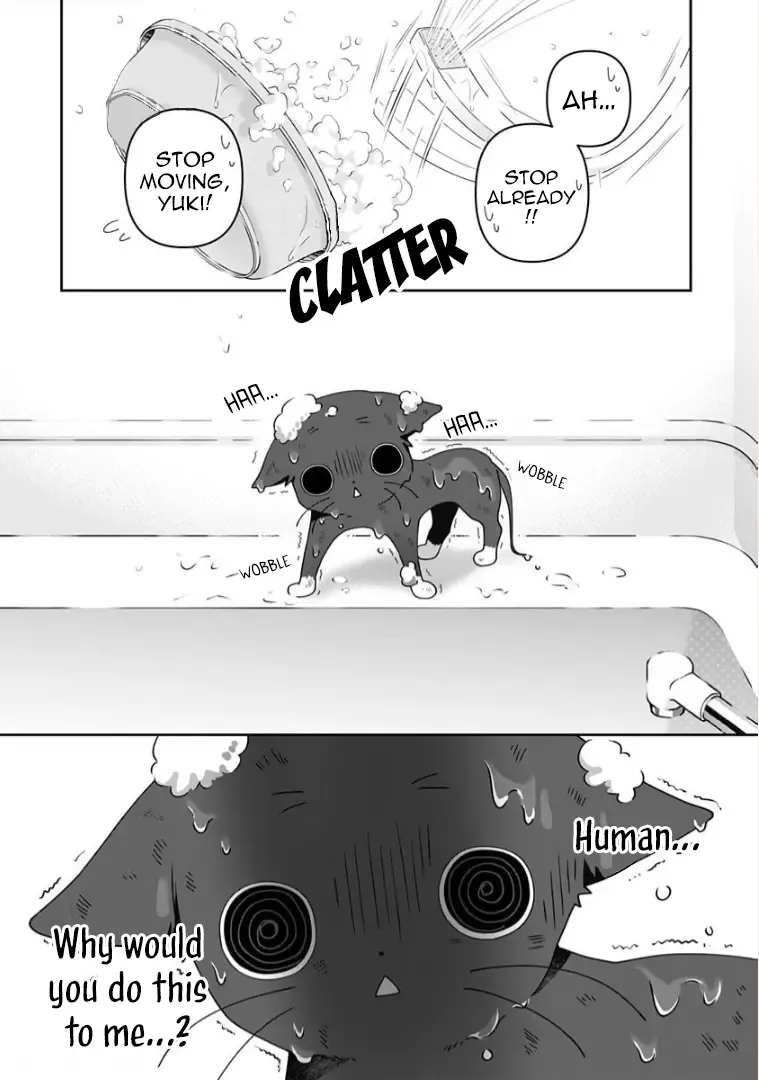 My Kitten Is a Picky Eater. Chapter 7 page 8 - MangaKakalot