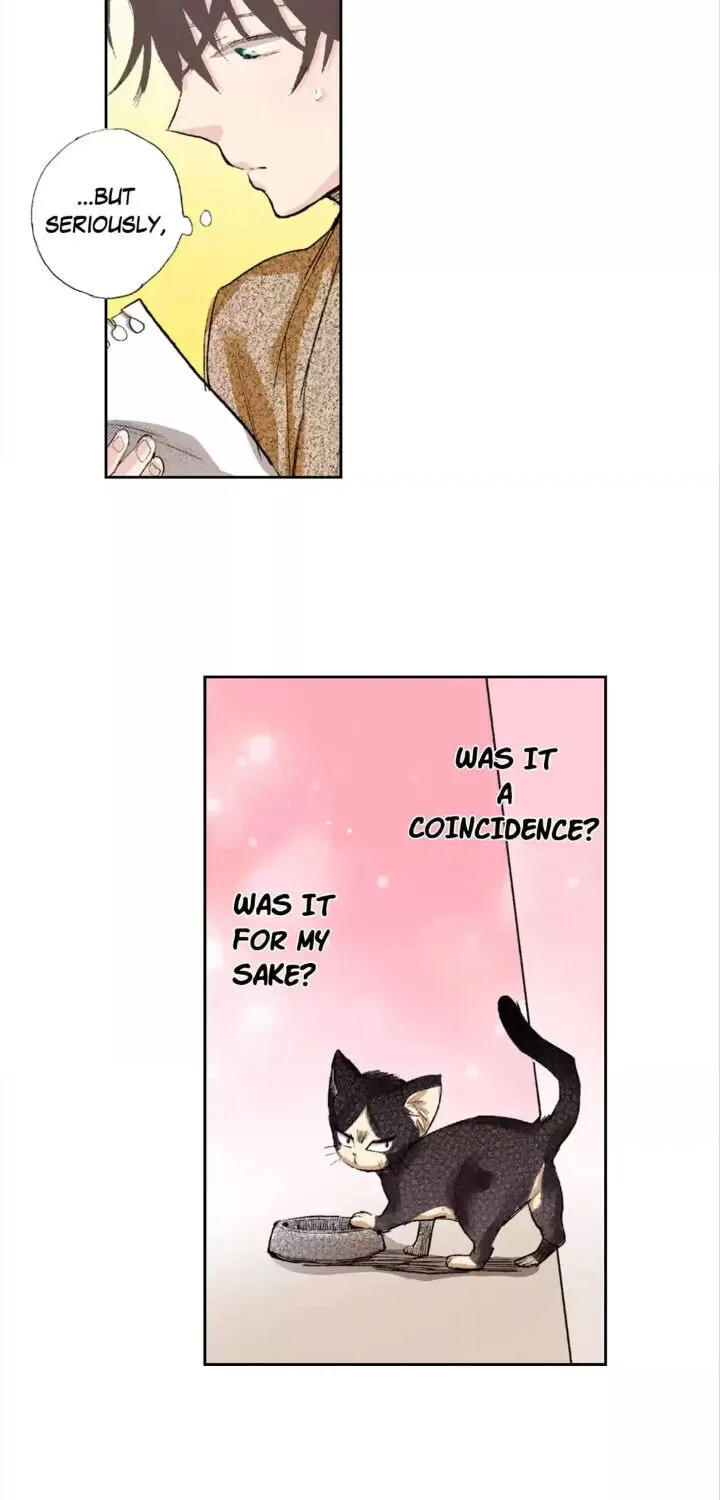 My Roommate is a Cat Chapter 2 page 21 - MangaKakalot