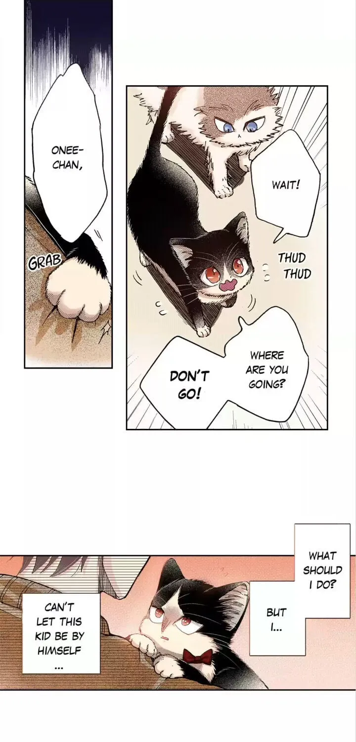 My Roommate is a Cat Chapter 31 page 20 - MangaKakalot