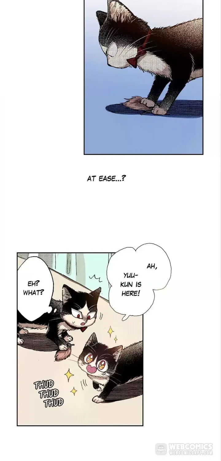 My Roommate is a Cat Chapter 31 page 7 - MangaKakalot