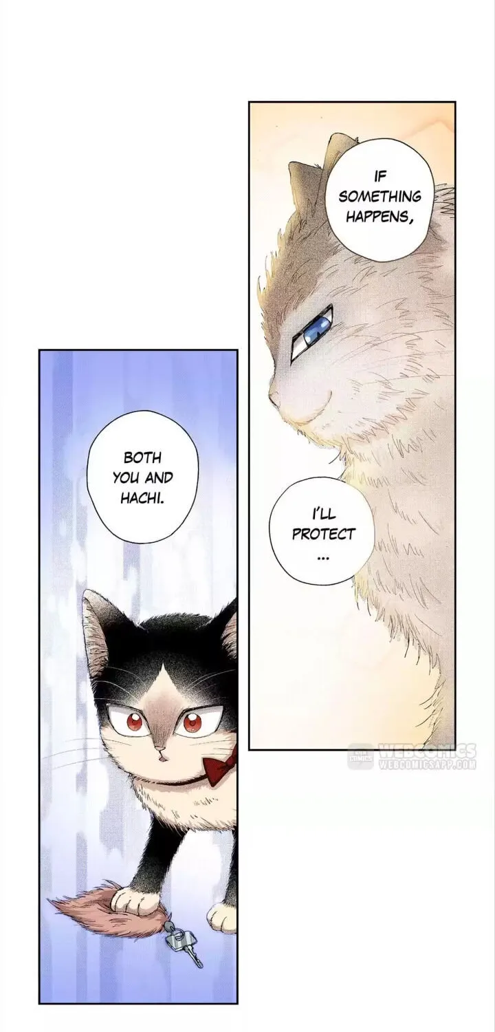 My Roommate is a Cat Chapter 31 page 10 - MangaKakalot