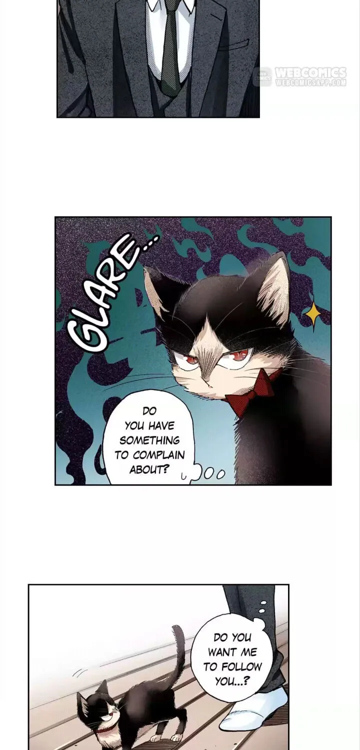 My Roommate is a Cat Chapter 39 page 19 - MangaKakalot