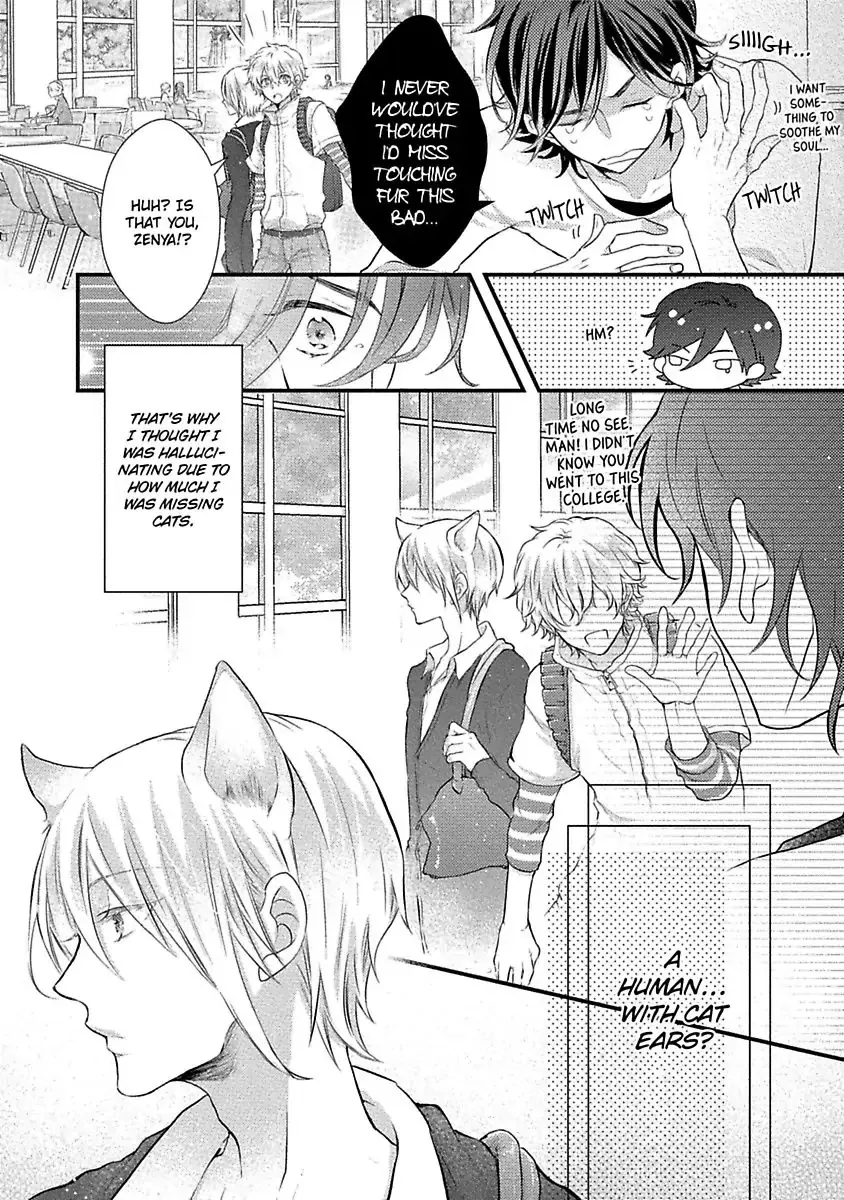 Neko Zuki Danshi wa Nekome Otoko to Koi ni Ochiru noka Chapter 1 page 6 - MangaKakalot