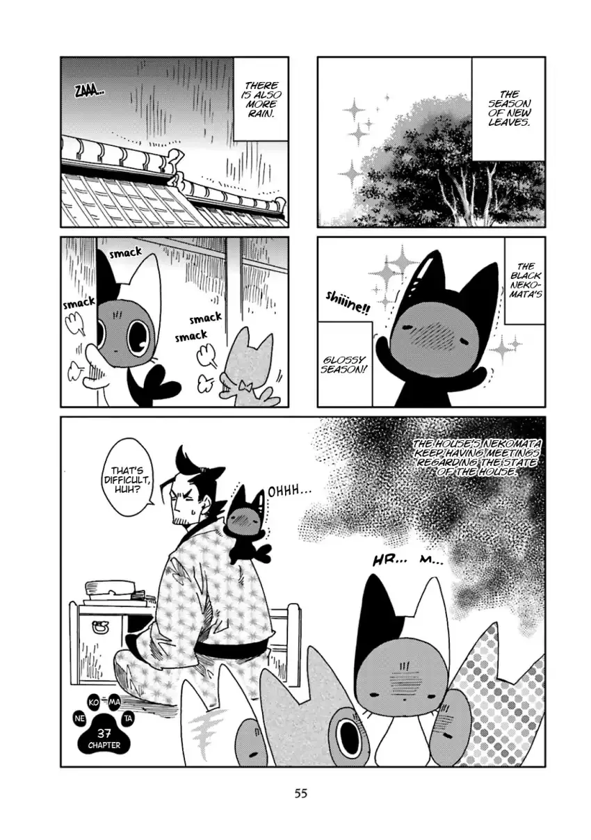 Nekomata. Chapter 37 page 3 - MangaKakalot