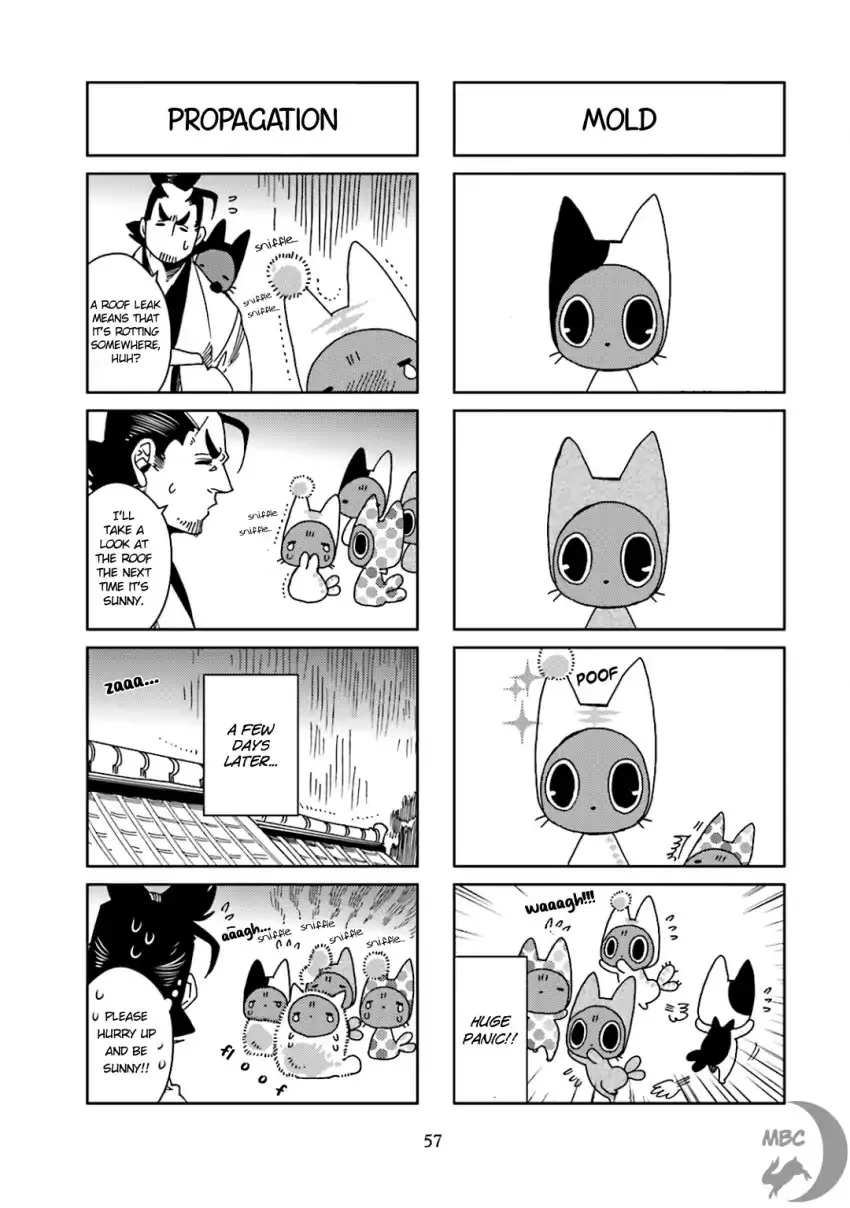 Nekomata. Chapter 37 page 5 - MangaKakalot