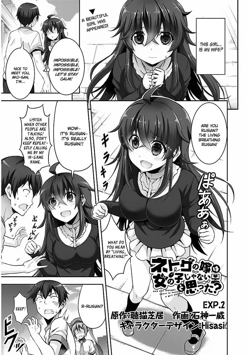 Netoge No Yome Wa Onnanoko Ja Nai To Omotta? - Page 1