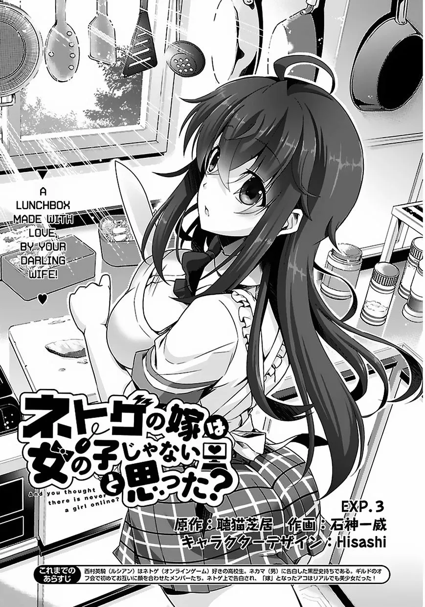 Netoge No Yome Wa Onnanoko Ja Nai To Omotta? - Page 4