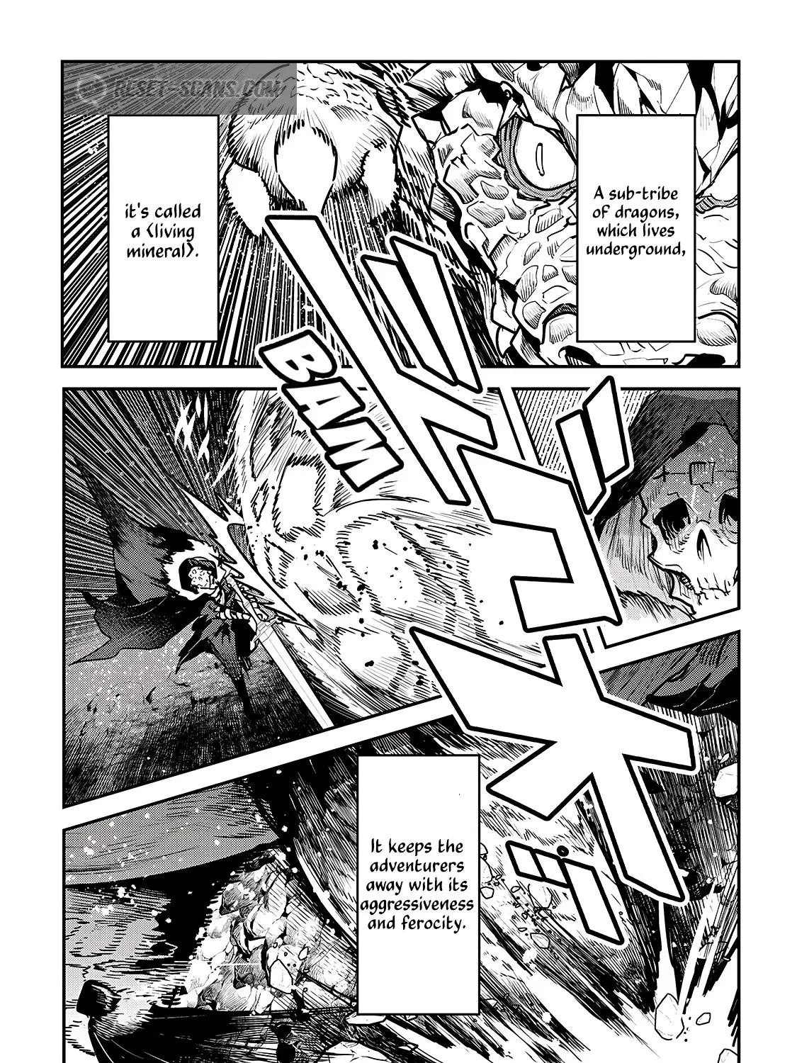 Nozomanu Fushi No Boukensha - Page 4