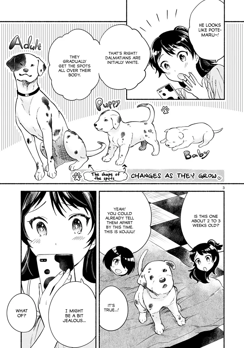 One-Room, Dog - Page 4