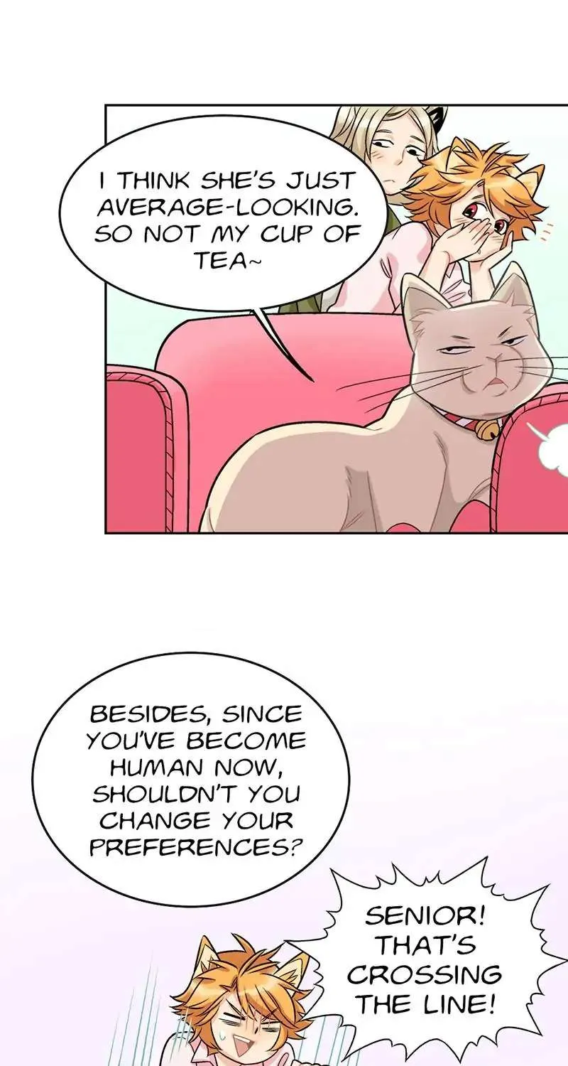 Only the Cats Know Chapter 15 page 6 - MangaKakalot