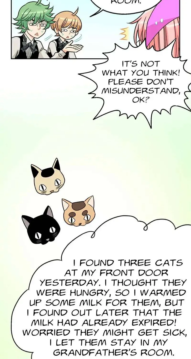 Only the Cats Know Chapter 6 page 17 - MangaKakalot