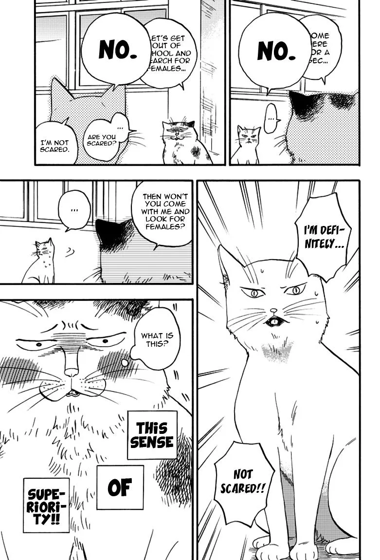 Ore wa Busamen - Neko Tsudzuri Chapter 2 page 15 - MangaKakalot