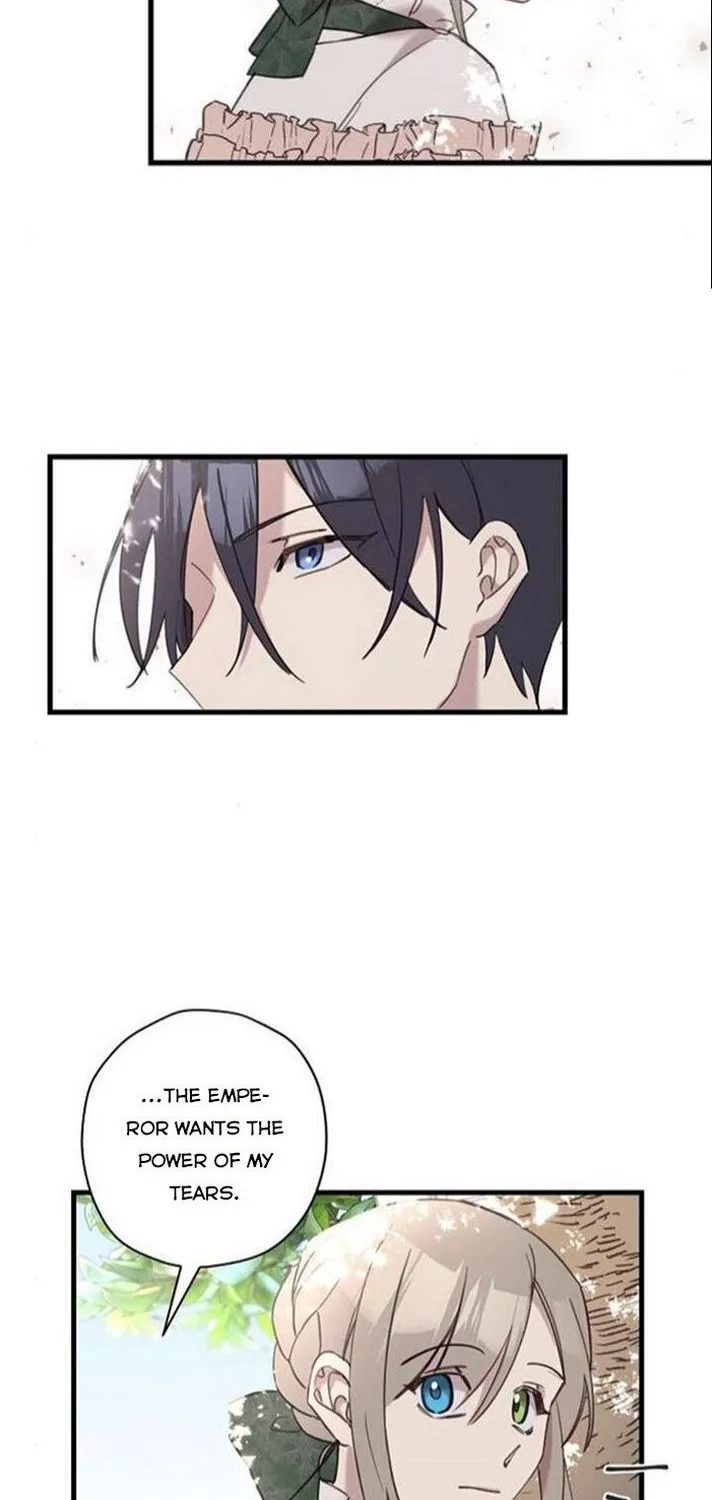 Please Cry, Crown Prince Chapter 12 page 34 - MangaKakalot