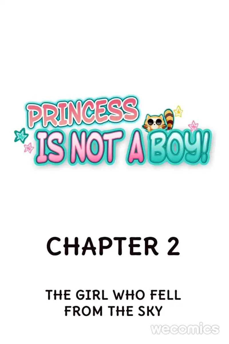 Princess Is Not A Boy Chapter 2 page 1 - MangaKakalot