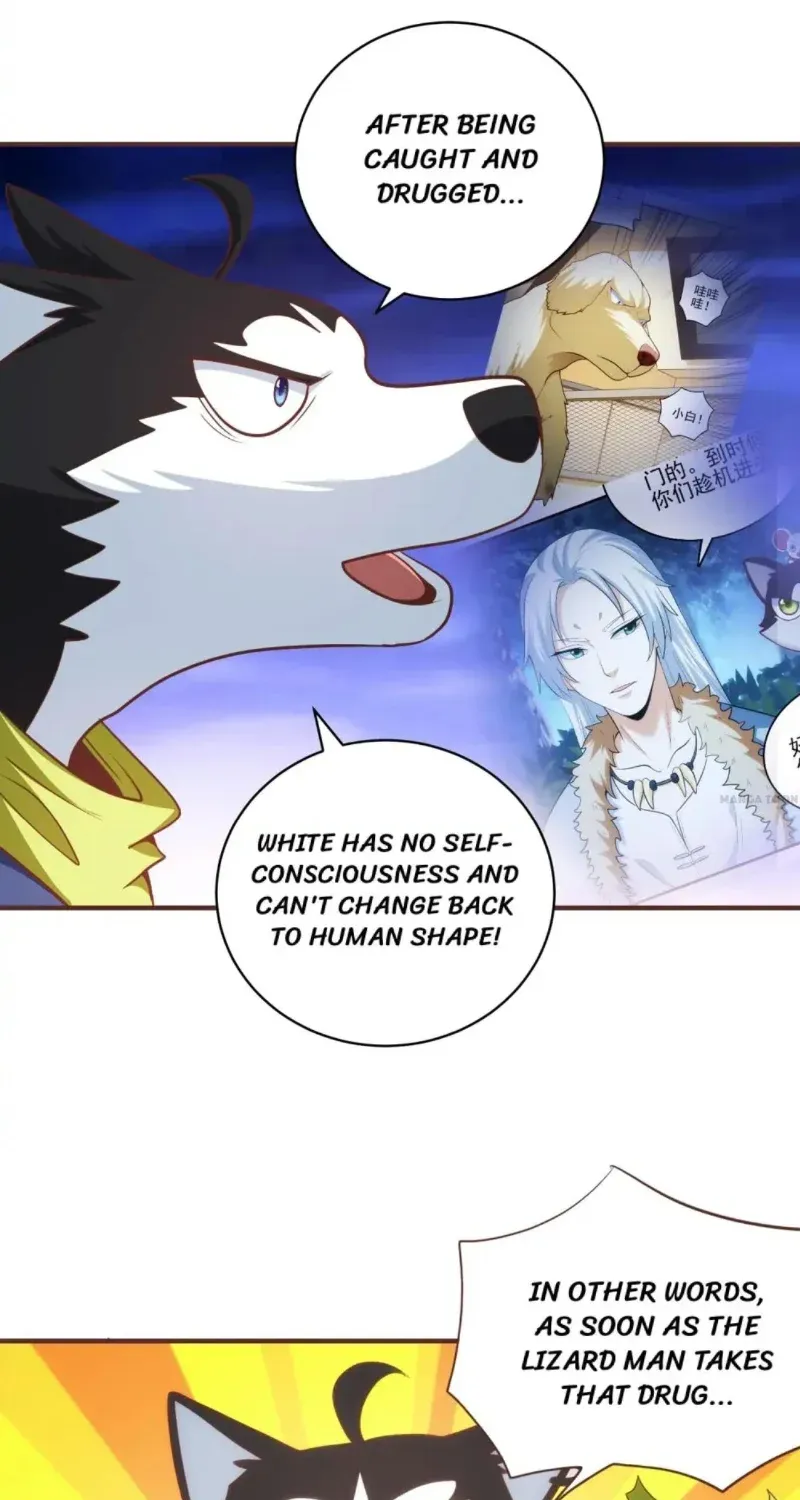 Reborn To Be A Huskie Chapter 61 page 14 - MangaKakalot