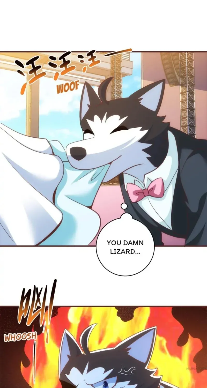 Reborn To Be A Huskie Chapter 62 page 3 - MangaKakalot