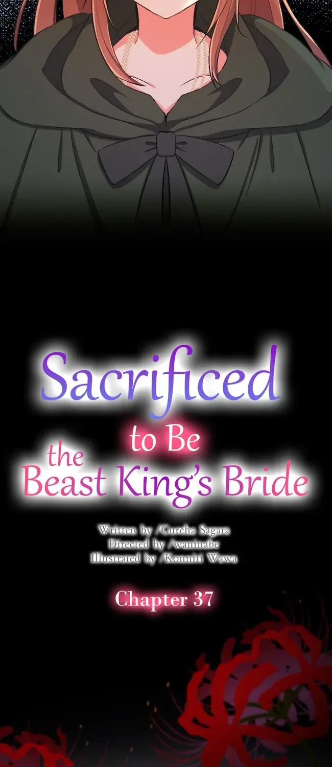 Sacrificed To Be The Beast King’S Bride Chapter 37 page 2 - MangaKakalot