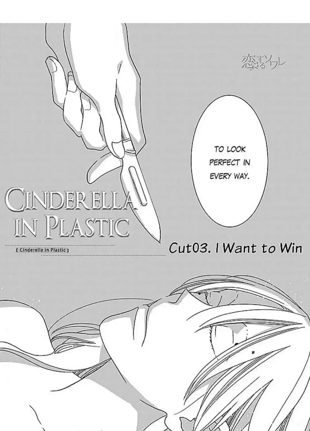 Seikei Cinderella Chapter 3 page 6 - MangaKakalot